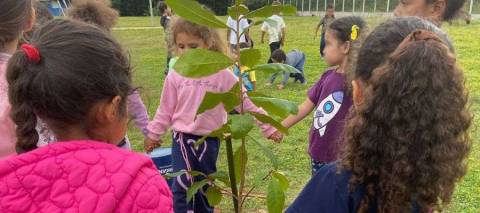 Atibaia promove plantio de 20 mudas nativas no CIEM 2 com participação de alunos