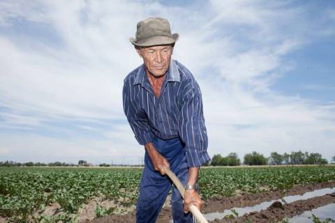 SAIBA COMO USAR O TEMPO RURAL PARA SE APOSENTAR NA CIDADE MAIS CEDO