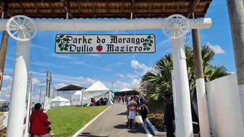 Festa do Morango de Atibaia e Jarinu destaca fruta fresca e gastronomia