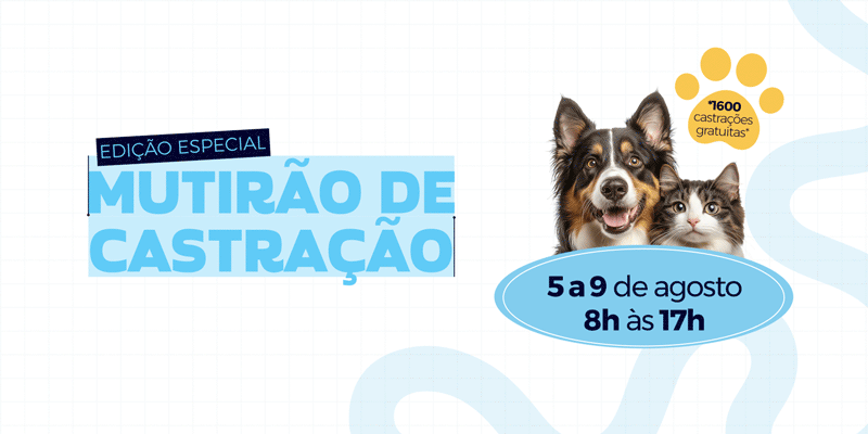 mutirao-castracao-atibaia-agosto-2026-1600-vagas