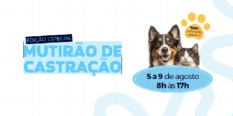 Mutirão de Castração em Atibaia abre 1.600 vagas gratuitas para cães e gatos em agosto