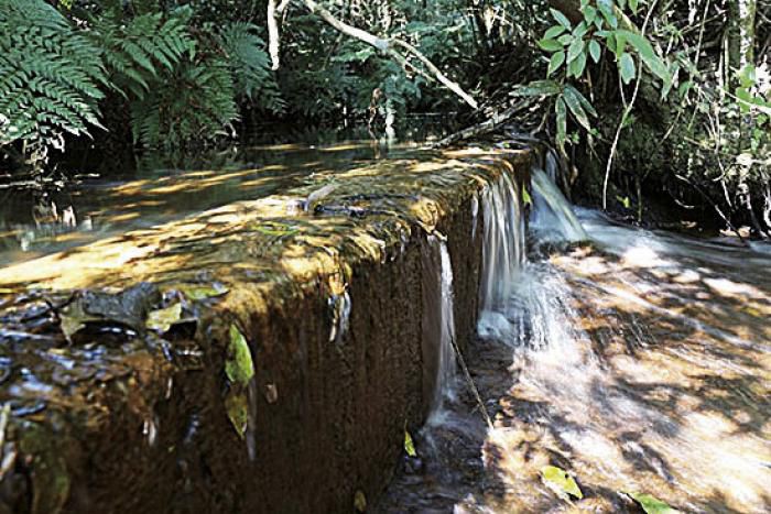 Revitalização do Parque da Grota Funda pretende viabilizar o turismo ecológico em Atibaia