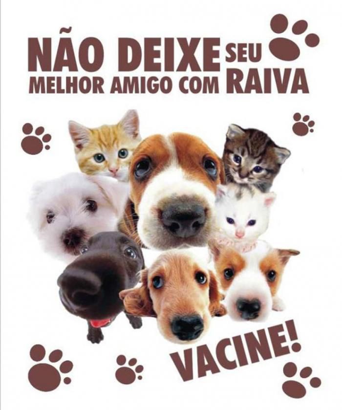 Atibaia realizará Campanha de Vacinação Contra a Raiva em 54 bairros