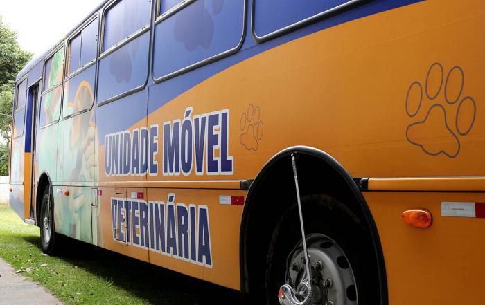 Programa Permanente de Castração já operou 750 cães e gatos este ano em Atibaia