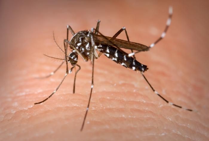 DENGUE EM ATIBAIA