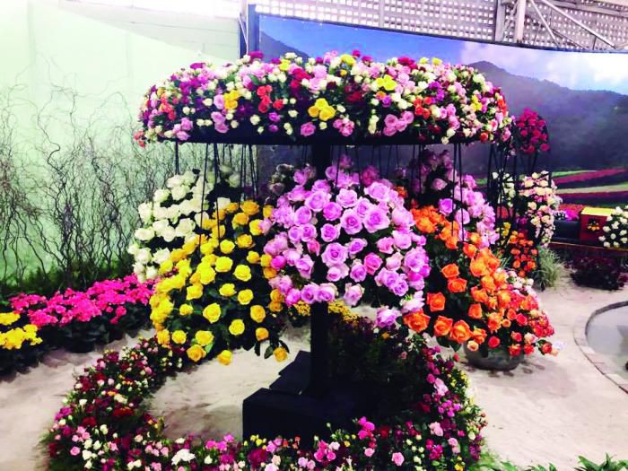 Confira os atrativos da 38ª edição da Festa de Flores e Morangos de Atibaia
