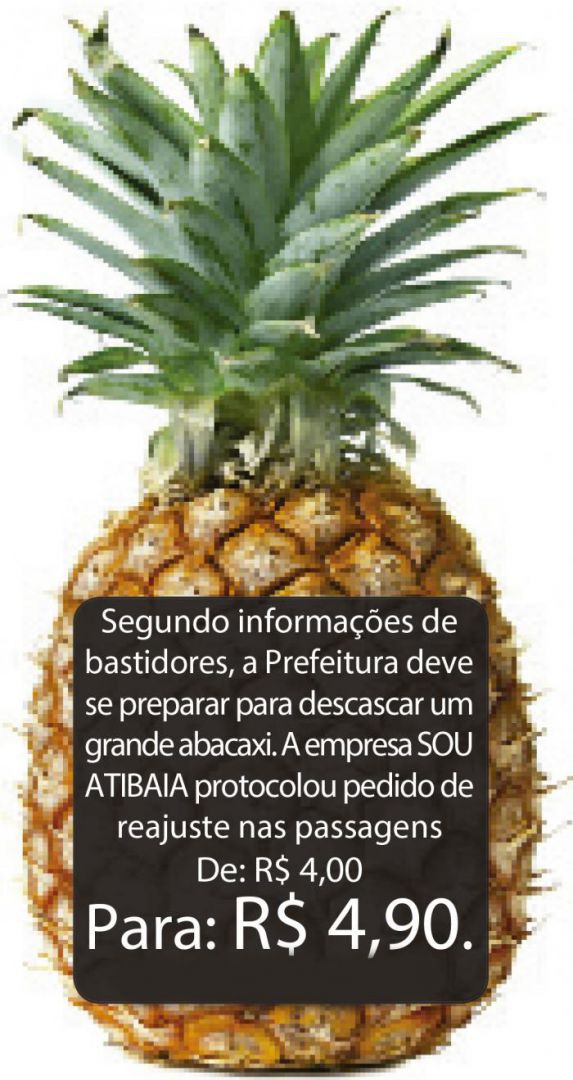 Um abacaxi para a Prefeitura descascar