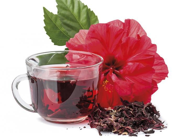 CHÁ DE HIBISCO