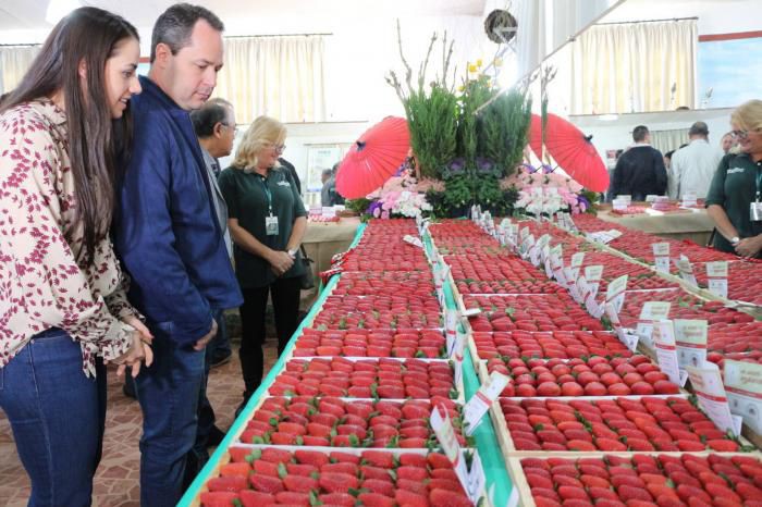Já começou a 35ª Festa do Morango de Atibaia e Jarinu!