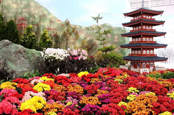 Vem aí a Festa das Flores e Morangos de Atibaia